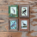 Vintage Glass Framed Paintings Birds - Extra Small