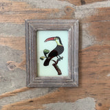 Vintage Glass Framed Paintings Birds - Extra Small