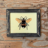 Vintage Glass Framed Paintings Bee - Medium