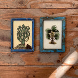 Vintage Glass Framed Paintings Plants - Small