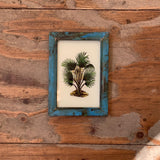 Vintage Glass Framed Paintings Plants - Small