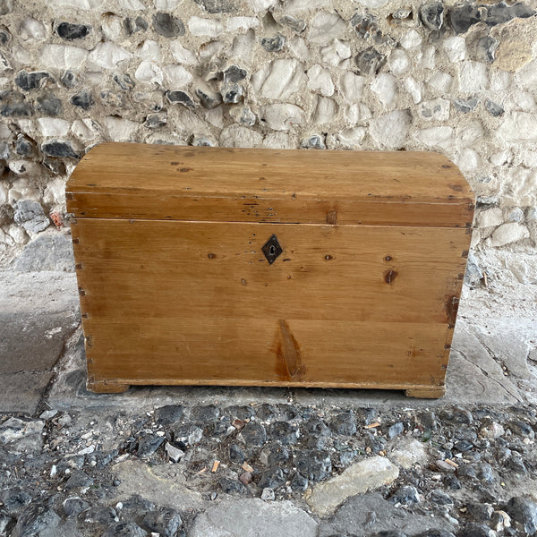 Antique Pine Domed Trunk
