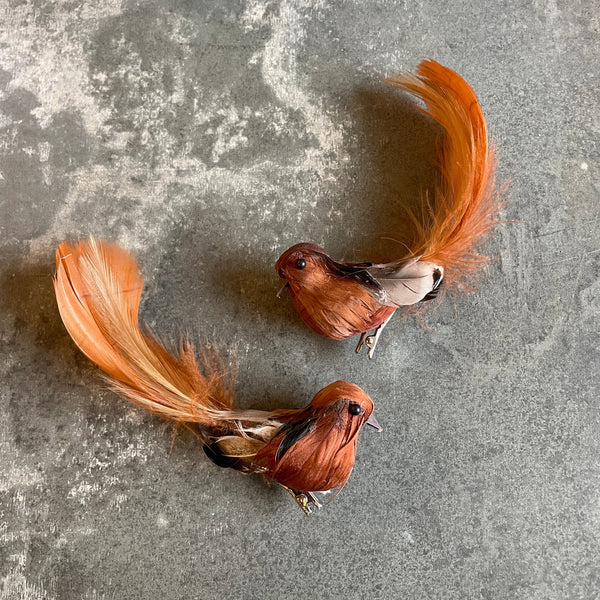 Natural Brown Feather Clip on Bird