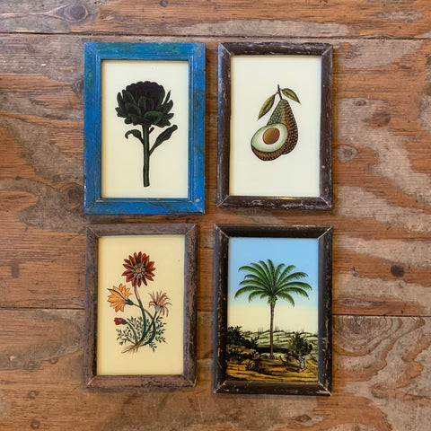 Vintage Glass Framed Paintings Plants - Small
