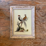 Vintage Glass Framed Painting Pheasant - Large