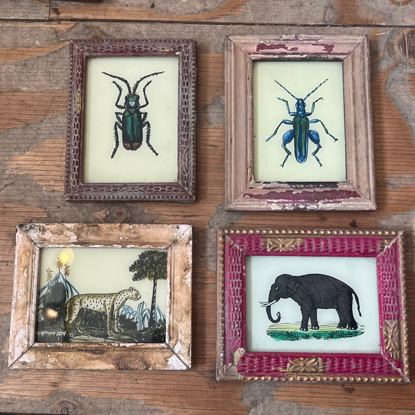 Vintage Glass Framed Paintings Insects and Animals - Mini