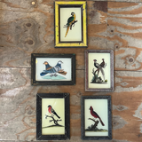 Vintage Glass Framed Painting Birds - Small