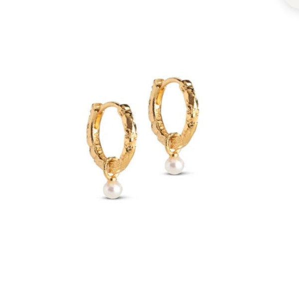 ENAMEL Copenhagen Gold Belle Pearl Hoops