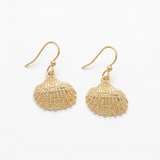 Isles & Stars Delicate Brass Seashell Earrings Gold