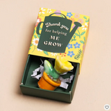 Lisa Angel Tiny Matchbox Ceramic Flower in pot
