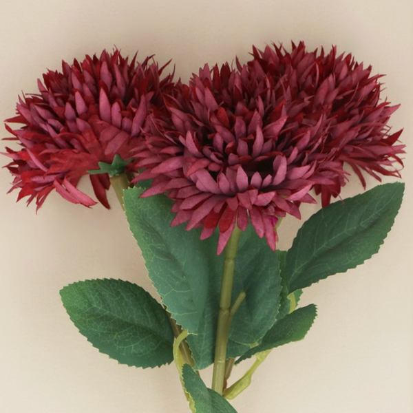 Mulberry Mini Dahlias Bunch of 3