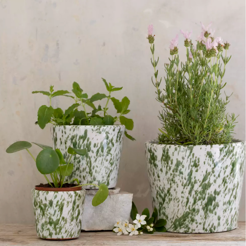 Old Style Dutch Pot Green Splatter