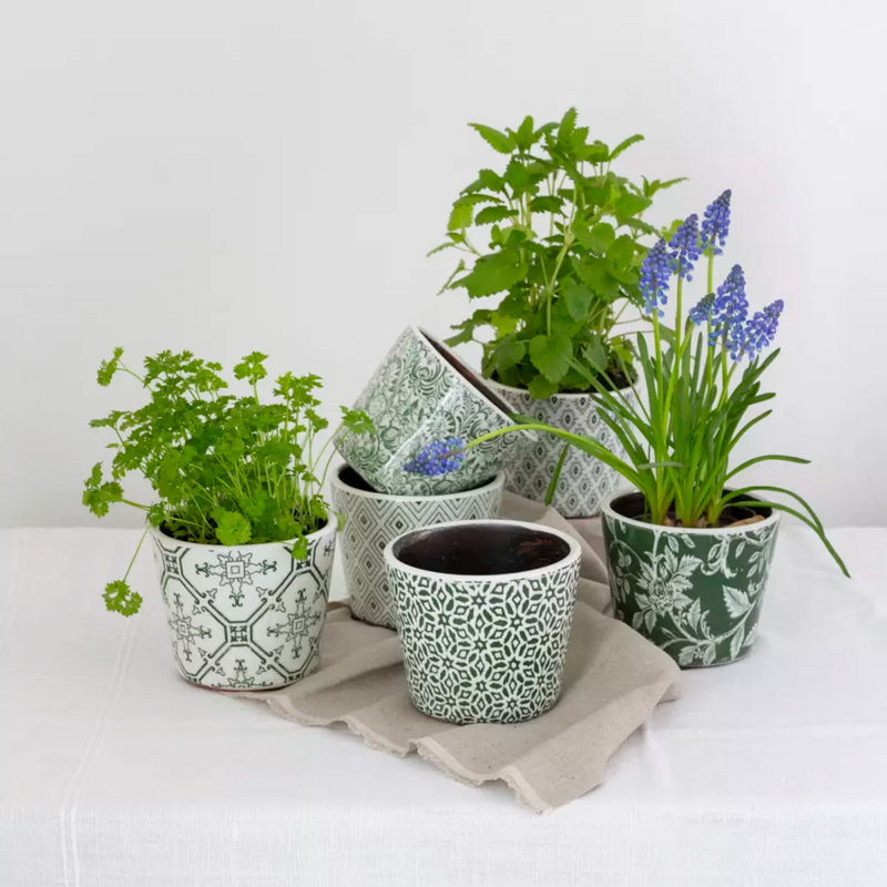 Old Style Dutch Pots - Green