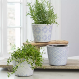 Old Style Dutch Pots - Powder Blue