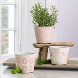 Old Style Dutch Pots - Rose Pink