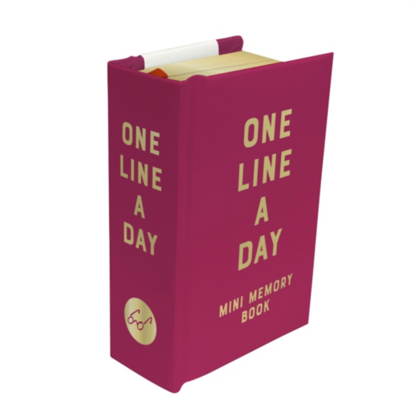 One Line a Day A One-Year Memory Book - Rose Velvet Mini