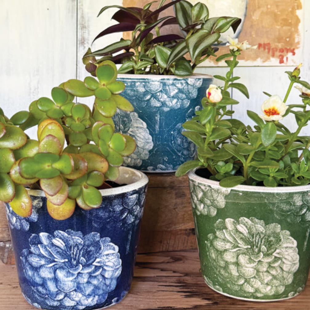 
PLANT POT FLEUR DE NUIT MIXED COLS AST/3 14x12cm /6