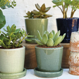 PLANT POT GREEN/BLUE CRACKLE ASTD/4 SML 10x9cm /8