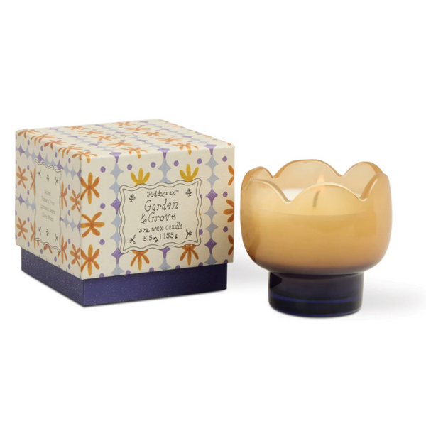 Paddywax Tulip 5.5oz/155g Orange and Blue Glass Candle - Garden & Grove
