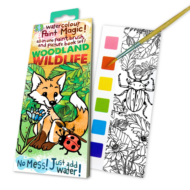 Paint Magic – Woodland Wildlife