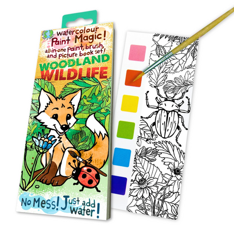 Paint Magic – Woodland Wildlife