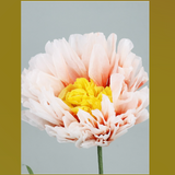 Pastel_Peony_Ornament Top