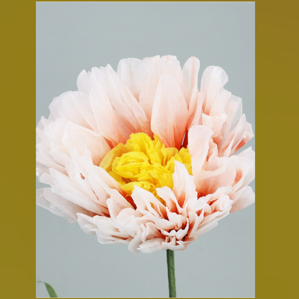 Pastel_Peony_Ornament Top