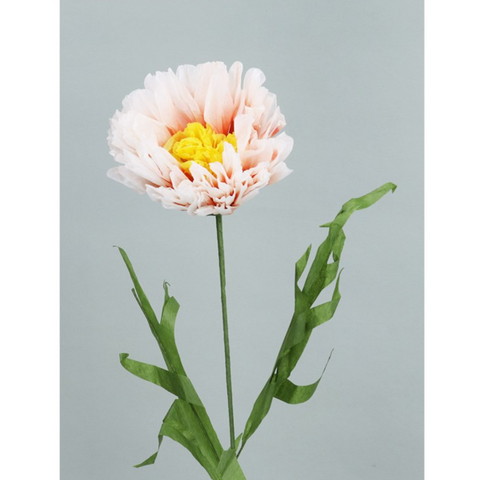 files/Peony_Stem.png