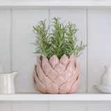 Planter Petals - Blush