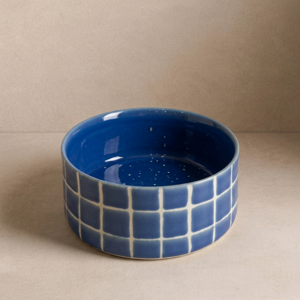 Pool Stoneware Pet Bowl - Blue Sky 16.5cm