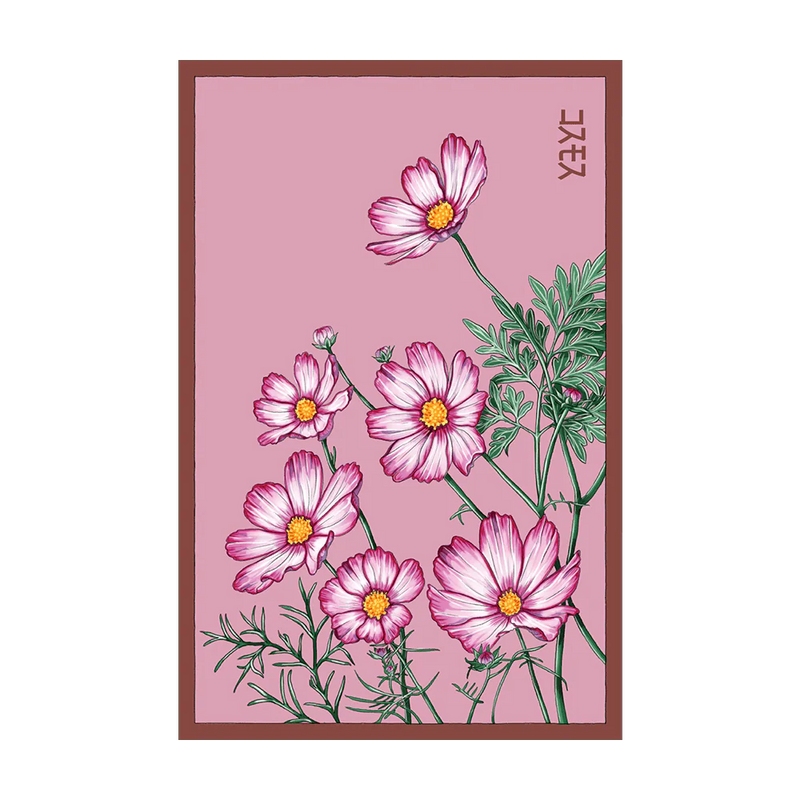 Cosmos Flower Seeds Packet