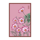 Cosmos Flower Seeds Packet
