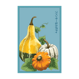Funky Squash Seed Packet