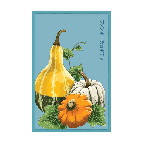 Funky Squash Seed Packet