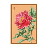 Peony Flower Seed Packet