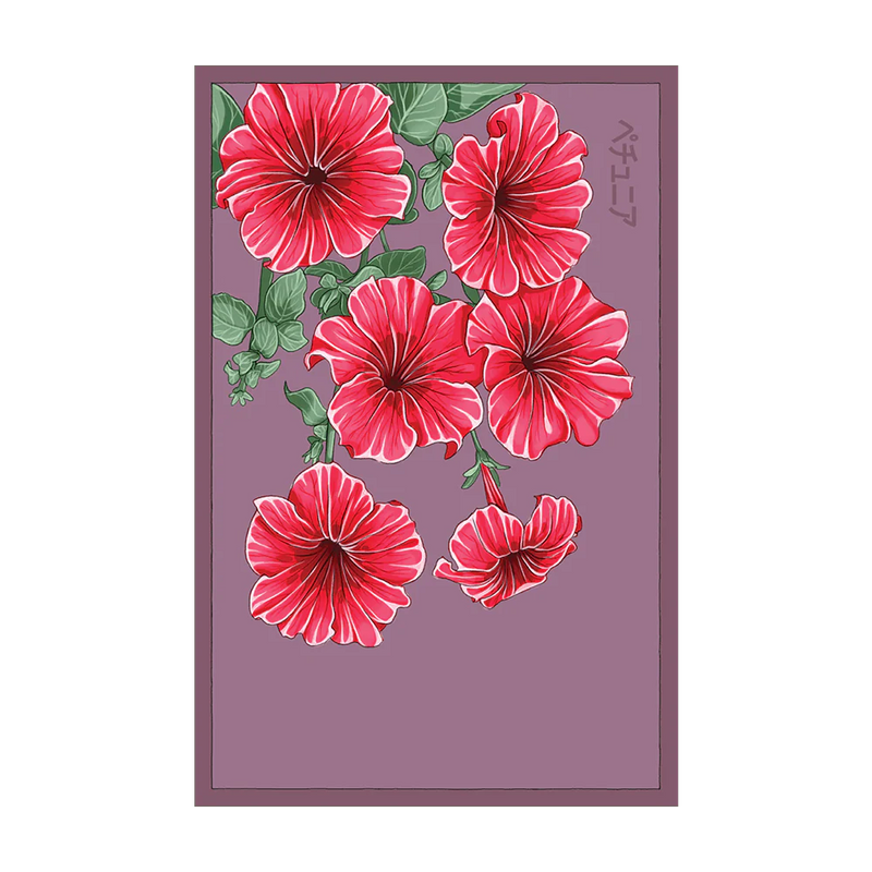 Trailing Petunia Flower Seeds Packet