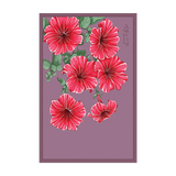 Trailing Petunia Flower Seeds Packet