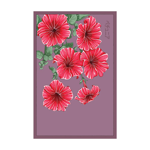 Trailing Petunia Flower Seeds Packet