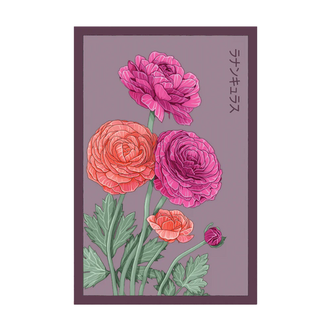 Ranunculus Seed Packet