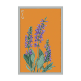 Blue Sage Herb Seeds Packet