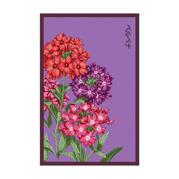 Verbena Flower Seeds Packet