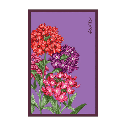 Verbena Flower Seeds Packet