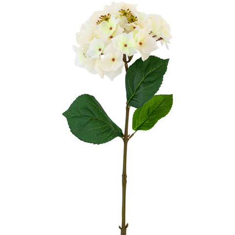 Hortensia Stem - White