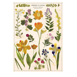 Pressed Flowers Poster Print