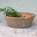 Antiqued Redstone Dish Planter Frill Rim