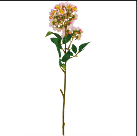 Blossom Fruit Tree Spray