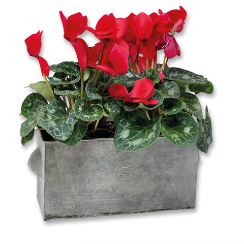 Kew Zinc Rectangle Planter