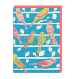 Little Birdie happy birthday card- OOH DEER