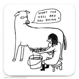 What The Hell Are You Doing? David Shrigley Coaster