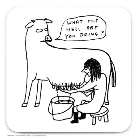 What The Hell Are You Doing? David Shrigley Coaster